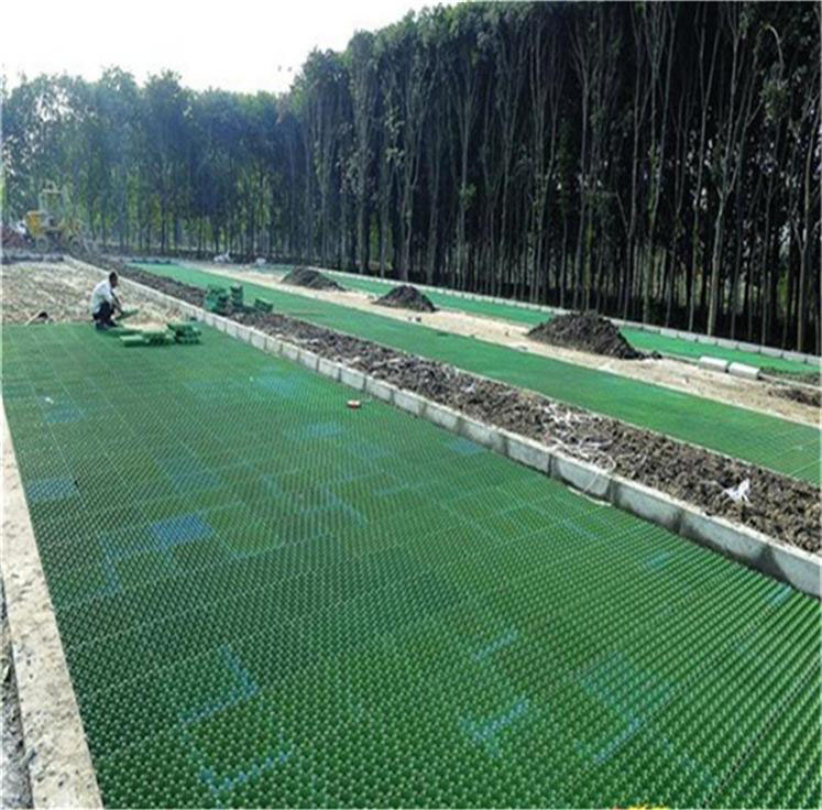 1608865504741935.jpg 植草格 (4).jpg