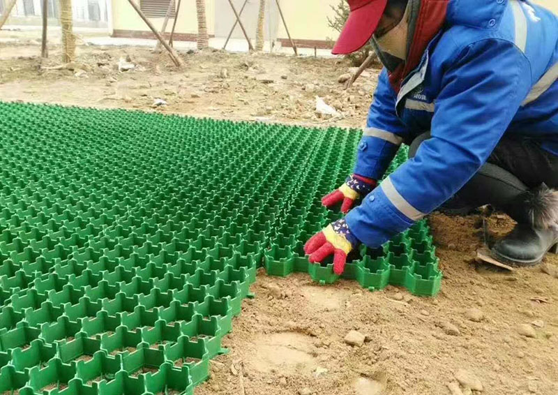 1608865485792447.jpg 植草格 (5).jpg