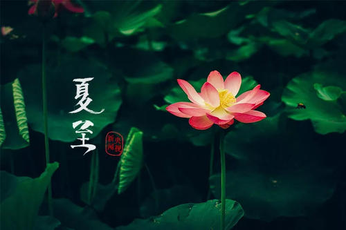 夏至風(fēng)俗活動有哪些 夏至風(fēng)俗活動有哪些